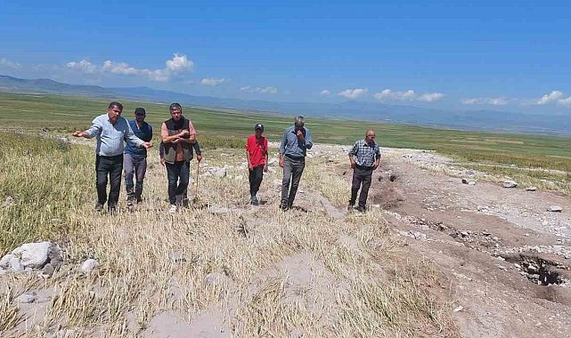 Kars'ta ekili araziler yağmurdan zarar gördü