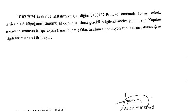 Kastamonu Üniversitesi'nden 'köpek' açıklaması