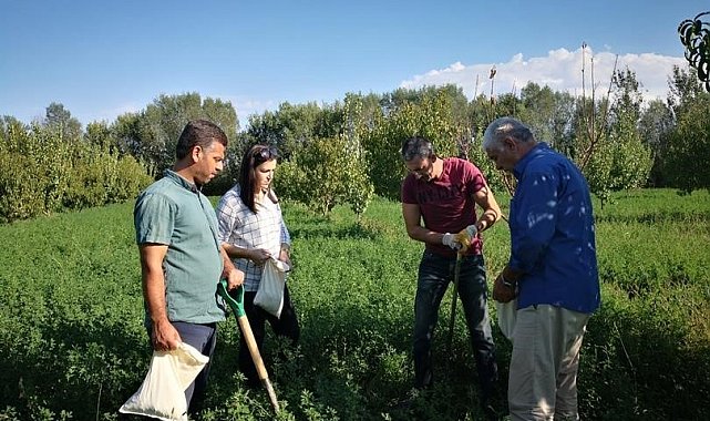 Kastamonu'da meralar ekonomik değere dönüştürülecek