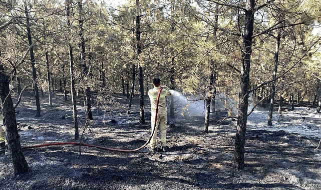 Kastamonu'daki orman yangını kontrol altına alındı