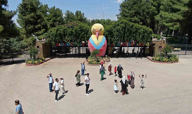 Kavurucu sıcaklarda hayvanlar buzlu kokteyl ile serinliyor