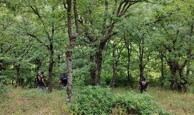 Kayıp şahıs ormanlık alanda sağ olarak bulundu