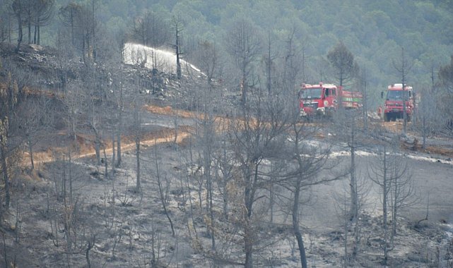 Kepsut yangını kontrol altına alındı, soğutma çalışmaları devam ediyor