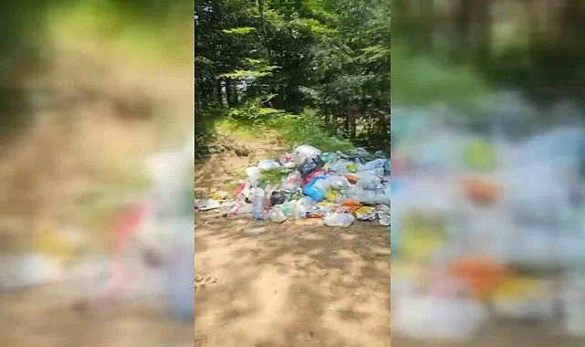 Kestel'de piknik alanları çöplüğe döndü