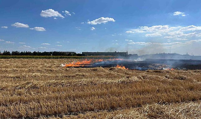 Kırklareli&#039;nde 100 dönüm arazi küle döndü
