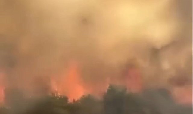 Kızılırmak nehri yatağındaki örtü yangını söndürüldü