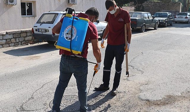 Koçarlı Belediyesi, haşereyle mücadelede 24 saat kesintisiz hizmet veriyor