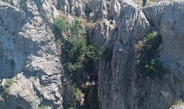 Konya'da dağlık alanda nefes kesen keçi kurtarma operasyonu