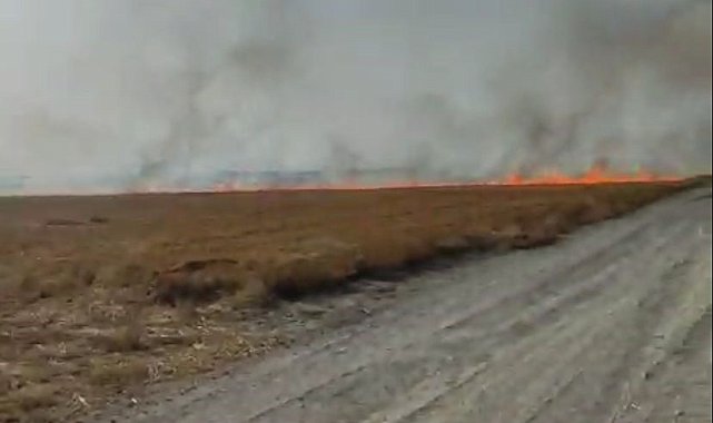 Konya'da tarlada çıkan anız yangını söndürüldü