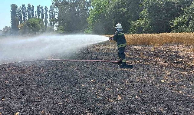 Kopan elektrik kablosu 1 buçuk dönüm buğday tarlasını küle çevirdi