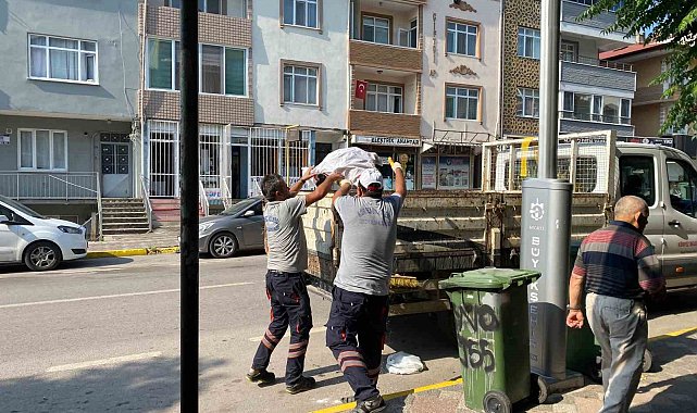 Körfez'de hummalı temizlik