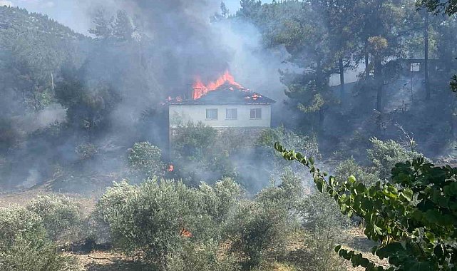 Köyceğiz'deki yangın kontrol altına alındı