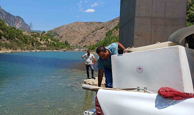 Kozan barajlarına 443 bin sazan yavrusu bırakıldı