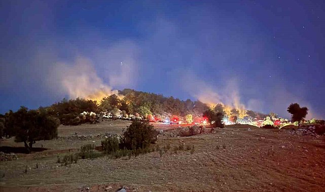 Kozan'da çıkan orman yangını kontrol altına alındı