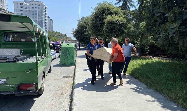Küçükçekmece'de ağaçlık alanda ceset bulundu