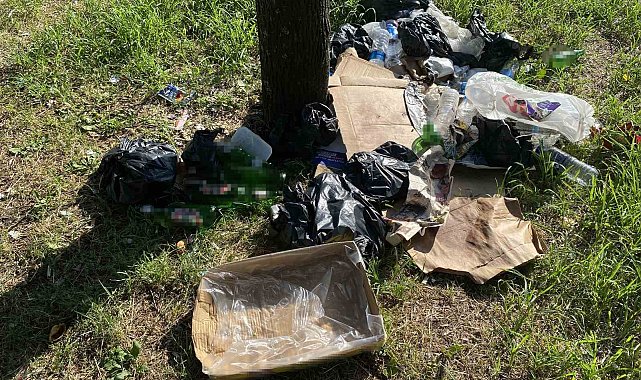 Küçükçekmece'de yol kenarındaki ağaçlık alanı açık hava meyhaneye döndürdüler