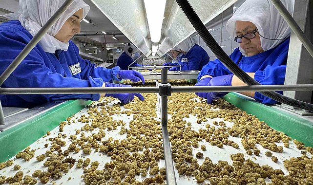 Kuru meyve ihracatı 829 milyon dolara yükseldi