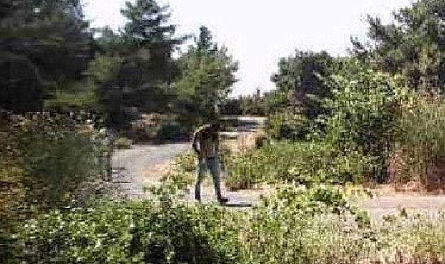 Kuşadası'nda 2 düzensiz göçmen yakalandı