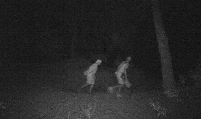 Kuşadası'ndan Yunanistan'a geçmek isterken yakalandılar