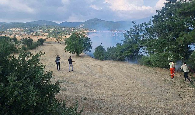 Kütahya Domaniç'teki anız yangını ekiplerin hızlı müdahalesiyle büyümeden kontrol altına alındı