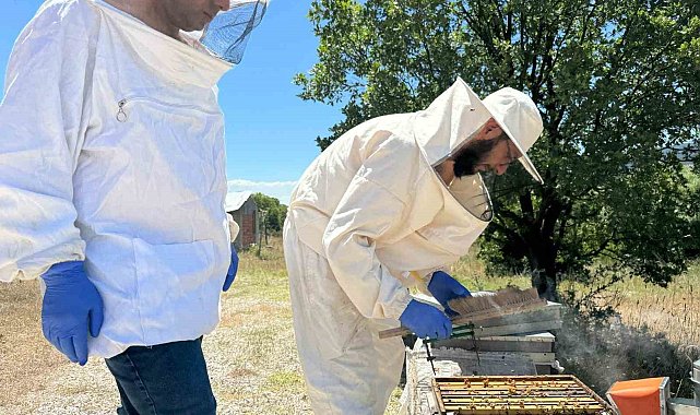 Kütahya'da arıcılığı geliştirme projesi