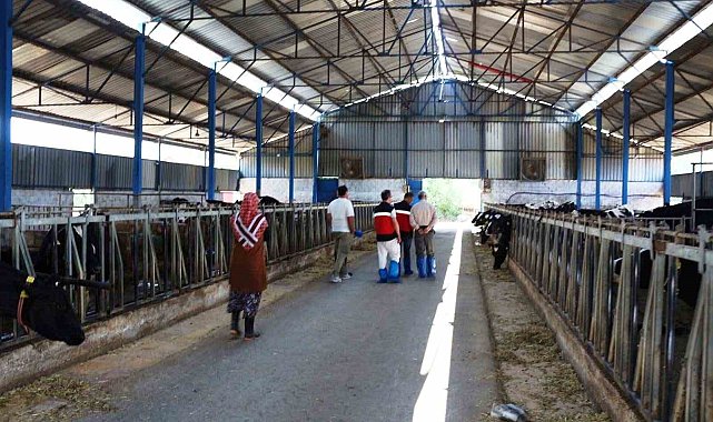 Kütahya'da KKYDP 15. etap projelerinin yatırım yeri kontrolleri