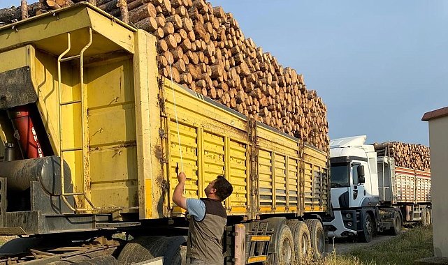 Kütahya'da orman emvali yüklü araçlarda 'Mobil Denetim'