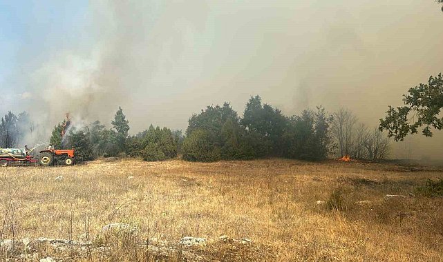 Kütahya'da orman yangını