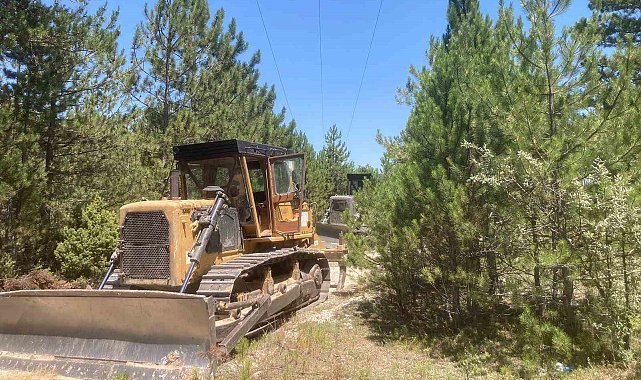 Kütahya'da ormanlardaki enerji nakil hatlarının altları temizleniyor