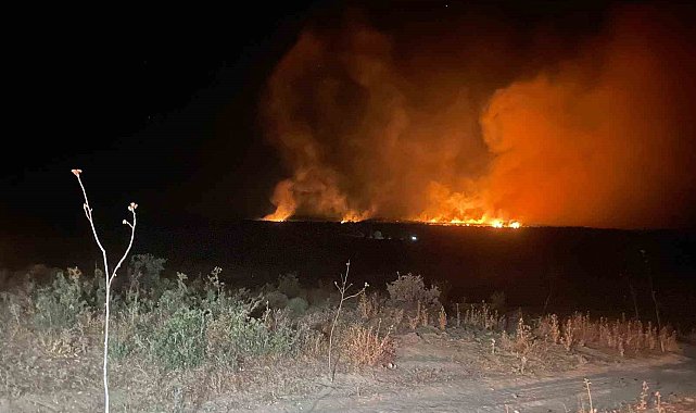 Lice'de gece başlayan orman yangını söndürüldü