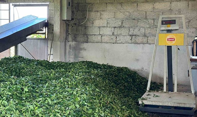 Lipton'a vatandaşlardan fiyat tepkisi