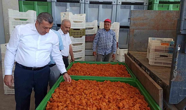 Malatya'da lisanslı depolar 2 haftada yaklaşık bin 500 ton ürün alımı yaptı