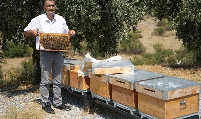 Manisa'da aşırı sıcaklar bal üretimini etkiledi