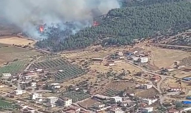 Manisa'da orman yangını