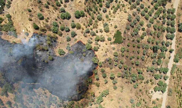 Manisa'daki orman yangını kontrol altına alındı