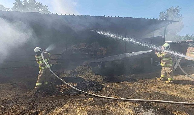 Manyas'ta ahırda çıkan yangında 3 büyükbaş hayvanda yanıklar oluştu