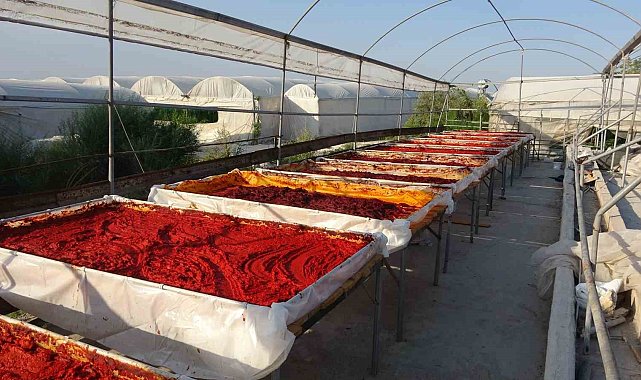 Mersin'de biber salçası üretimi başladı