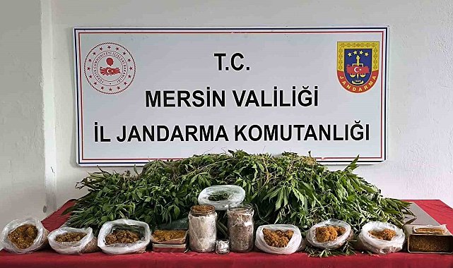 Mersin'de uyuşturucu operasyonu: 1 gözaltı