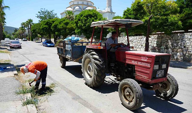 Milas Belediyesi ekipleri temizlik çalışmalarına devam ediyor