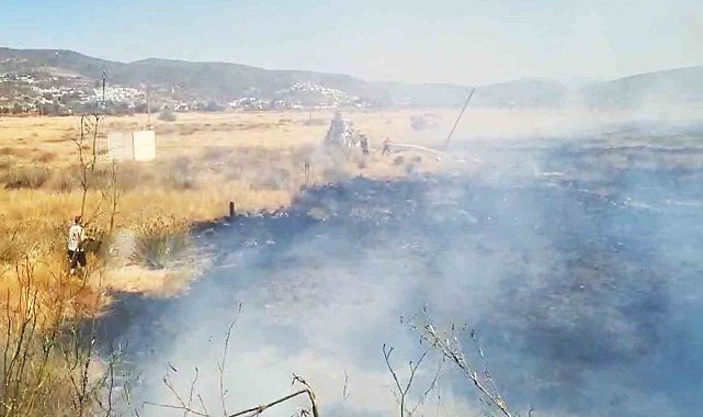 Milas Boğaziçi Mahallesinde otluk yangını