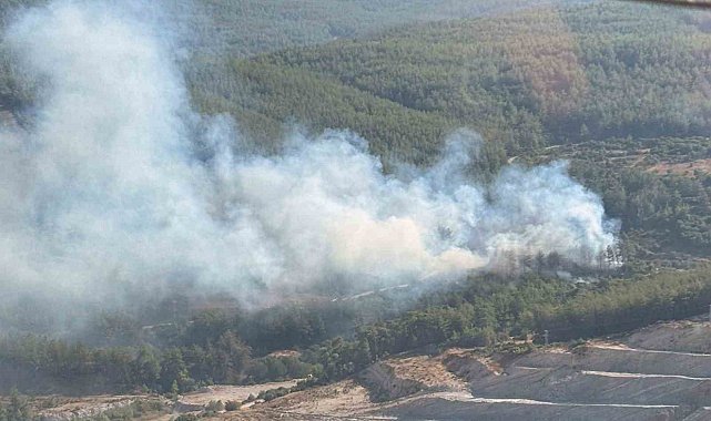 Milas'ta orman yangını