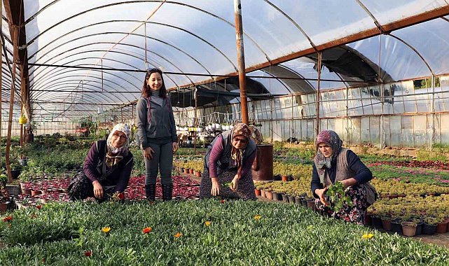 Muğla Büyükşehir Belediyesi 4 ilçede tarım market kuruyor