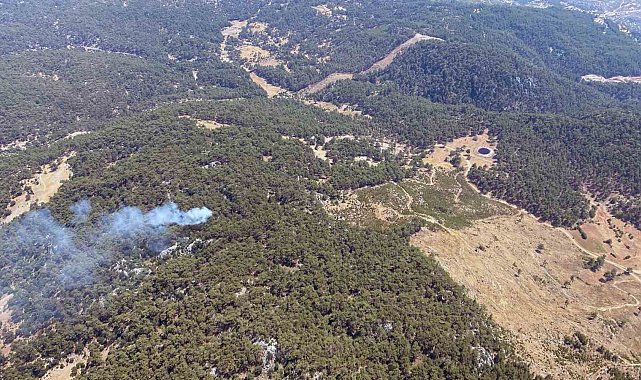 Muğla'da bir günde 11 yıldırım yangını