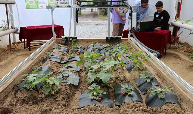 Muğla'da iki proje faydalı model olarak tescillendi
