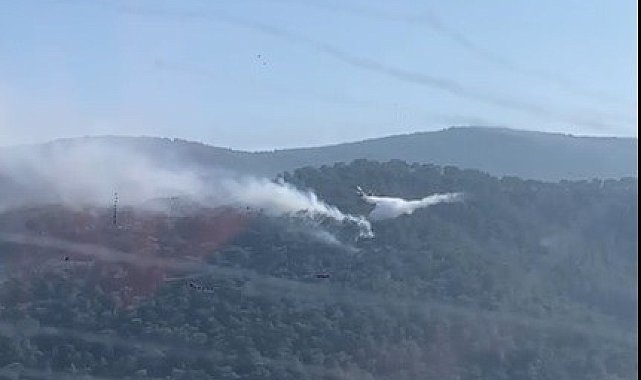 Muğla'da yıldırım kaynaklı yangınlar söndürüldü