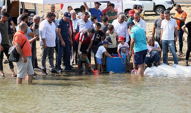 Muğla'daki baraj ve göletlere 370 bin sazan yavrusu bırakıldı
