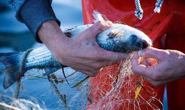 Muğla'nın Haziran ayı ihracatı 79 milyon dolar