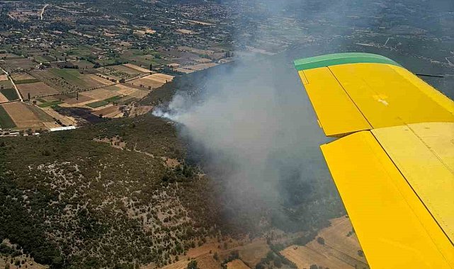 Muğla'nın Menteşe İlçesinde orman yangını