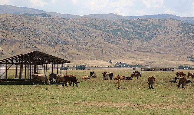 Muş'ta bir köy karantinaya alındı