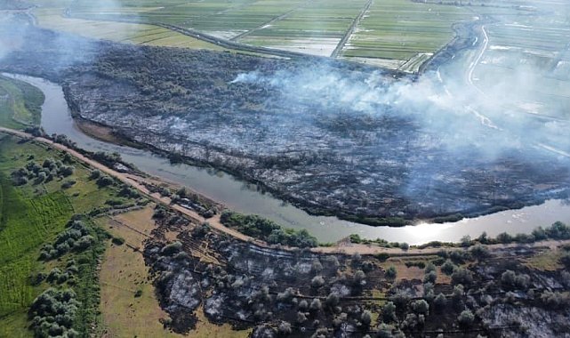 Nehir yatağındaki yangınında 700 dönüm alan zarar gördü